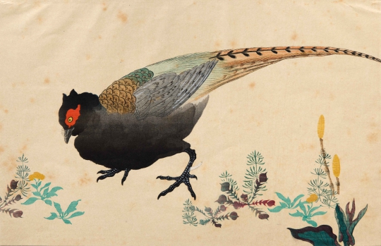 Green Pheasant by Hoitsu Jonin