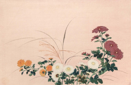 Chrysanthemums by Mitsuoki Tosa